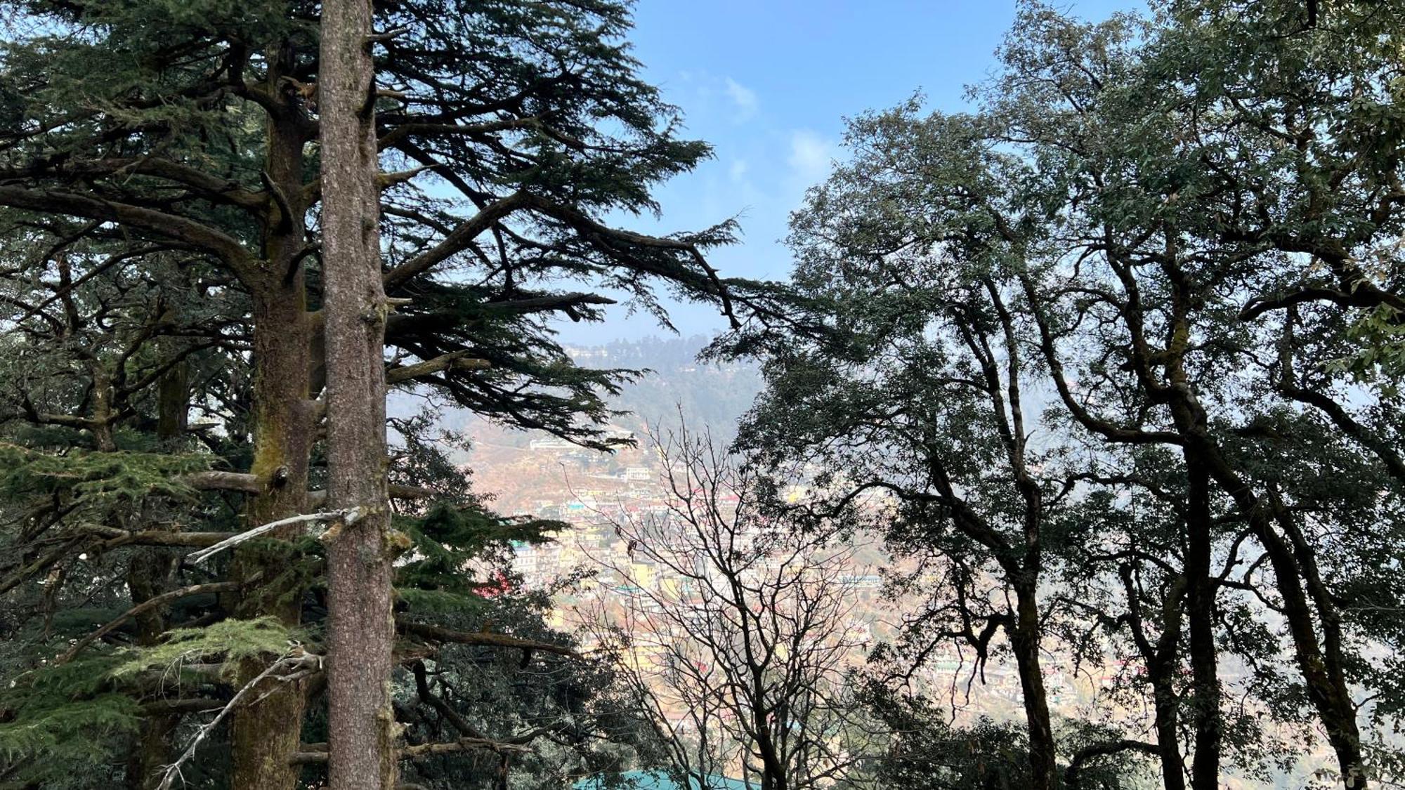 Hotel Pride Inn - 800 Mts From Mall Road 穆索里 外观 照片